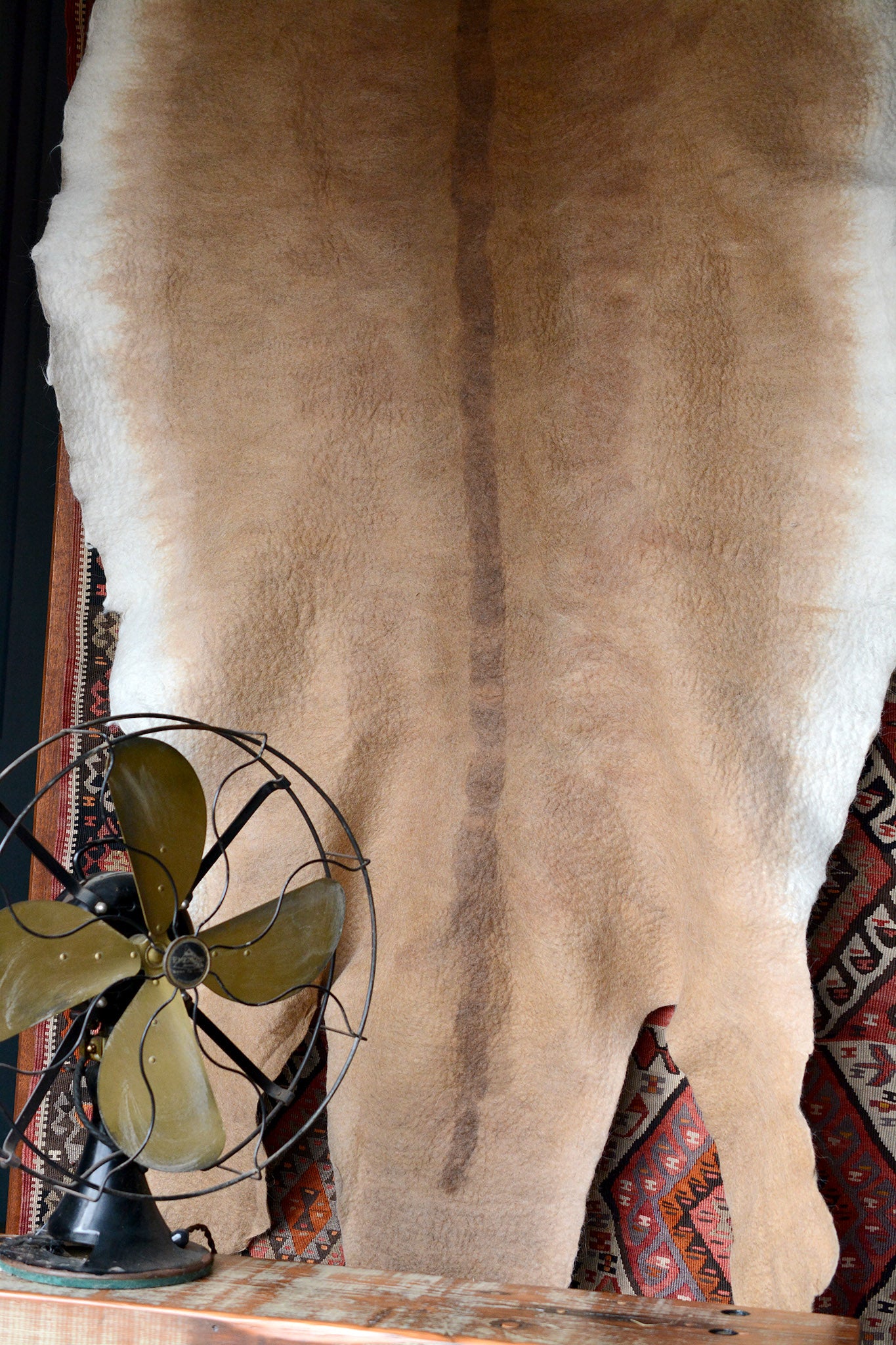 Lioness: Fiber Art Pelt